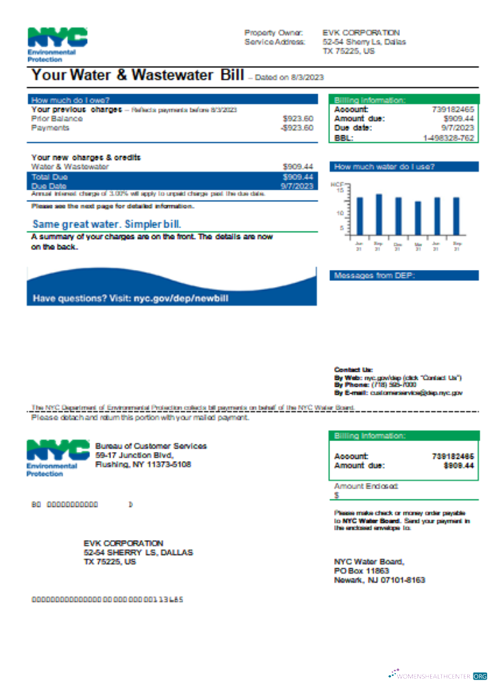 The New York City Department of Environmental Protection (DEP) utility business bill SCR
